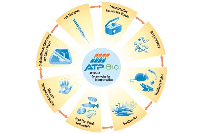ATP-Bio