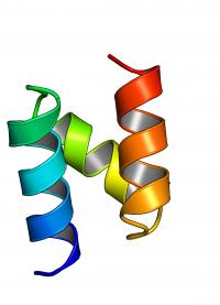 Computationally Designed Mini Protein
