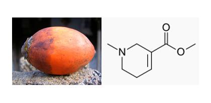 Areca Nut and Arecoline