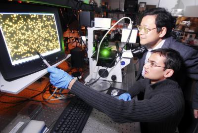 Fluorescence Microscopy Images