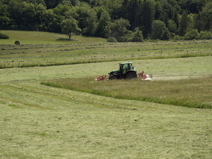 Agricultural meadows