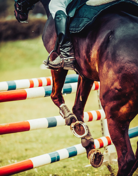 A horse show-jumping in Germany