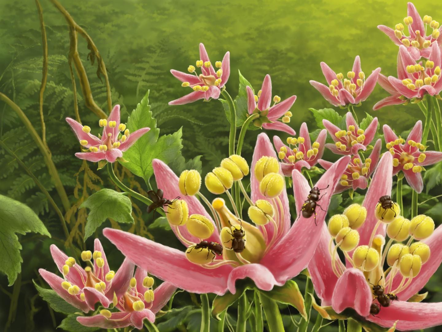 Ecological Reconstruction