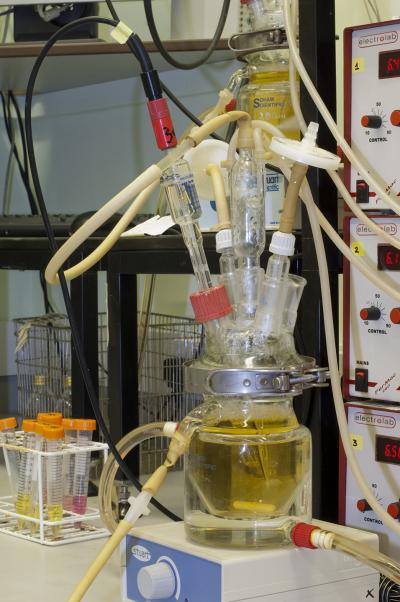 Part of IFR's Model Colon