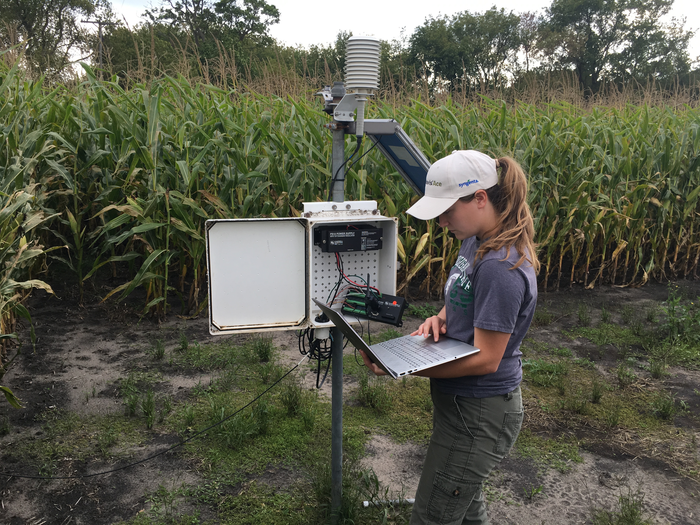 Jill Check conducting field work