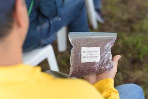 Biofortified bean variety