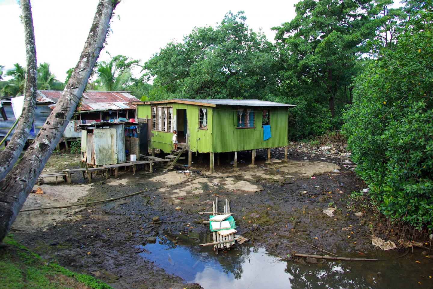 Urban Informal Settlement, Fiji