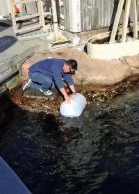 Sampling Monterey Bay Aquarium