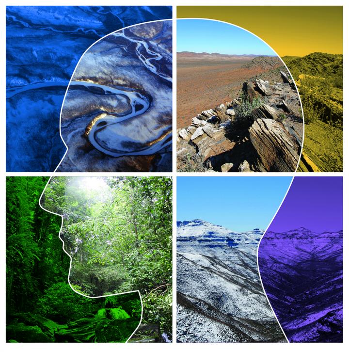 Generalist Specialist Illustration