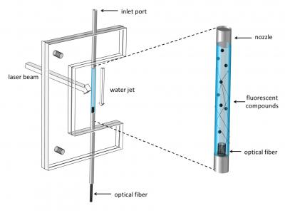 Schematic Illustration of the Sensor