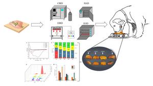 How dried chicken breasts are produced and what they are used for