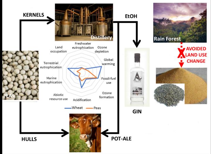 The Process of Creating Gin from Peas Confers Many Environmental Benefits