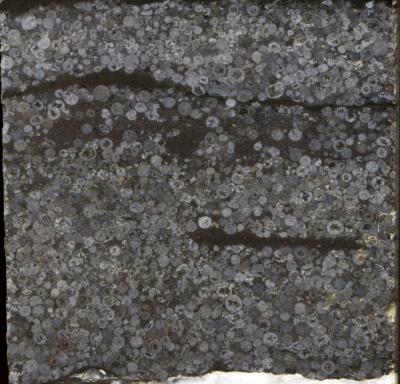 Reivilo Spherule Layer