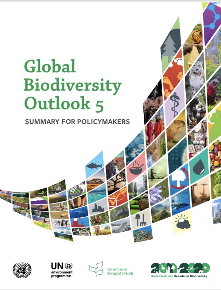 Global Biodiversity Outlook 5