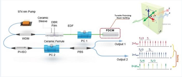 Dual-comb acquisition speed multiplication in single short fiber