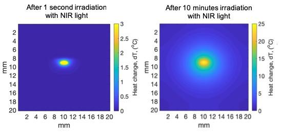 Tumour Absorbing Heat