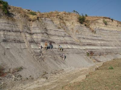 Hunting Cenozoic Africa Fossils