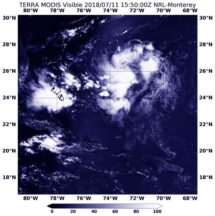 Terra Image of Beryl