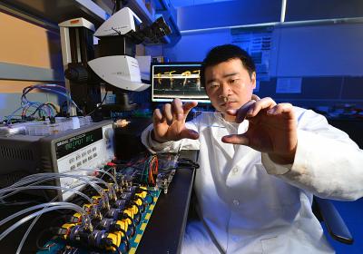 Liang Dong, Iowa State University