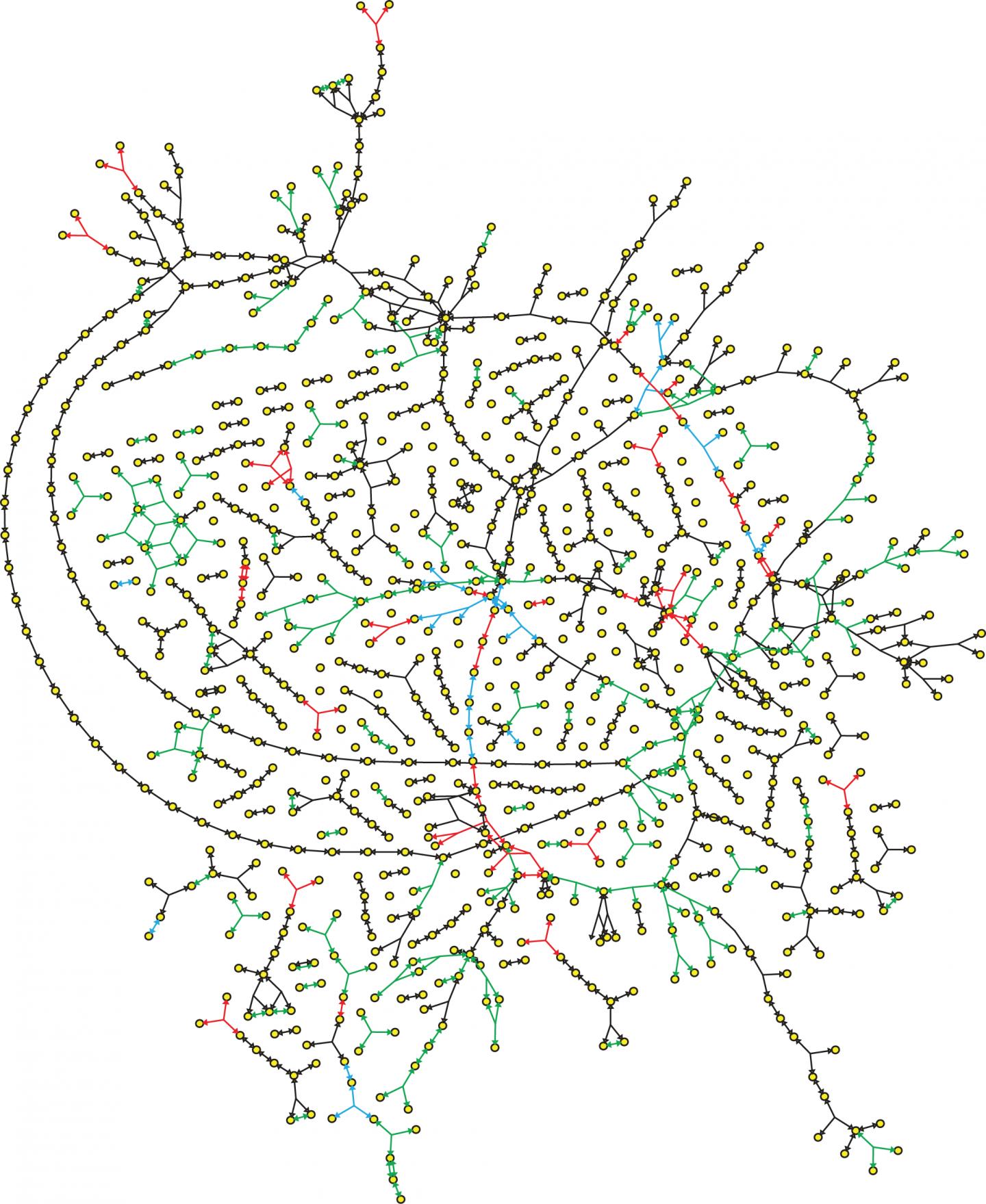 GenomeScale Metabolic Network [IMAGE] EurekAlert! Science News Releases