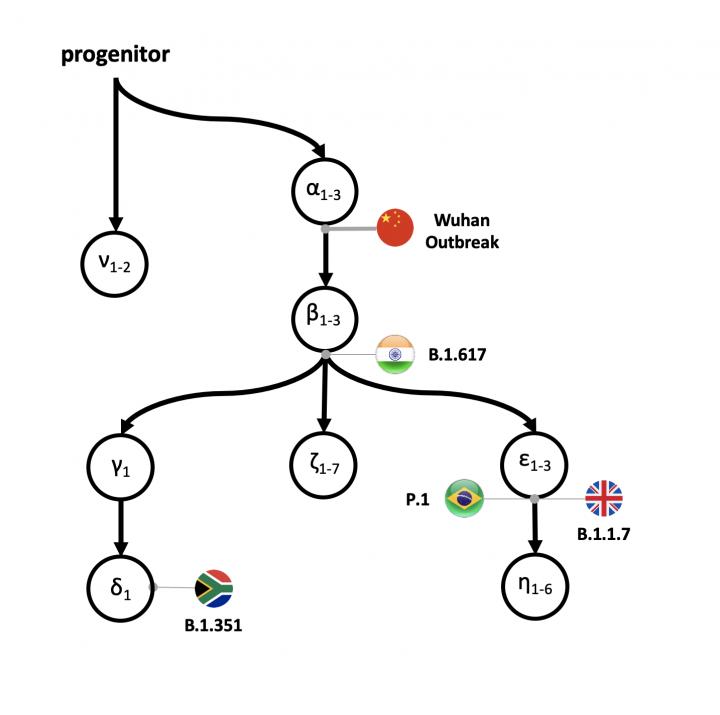 A SARS-CoV-2 progenitor and pedigree