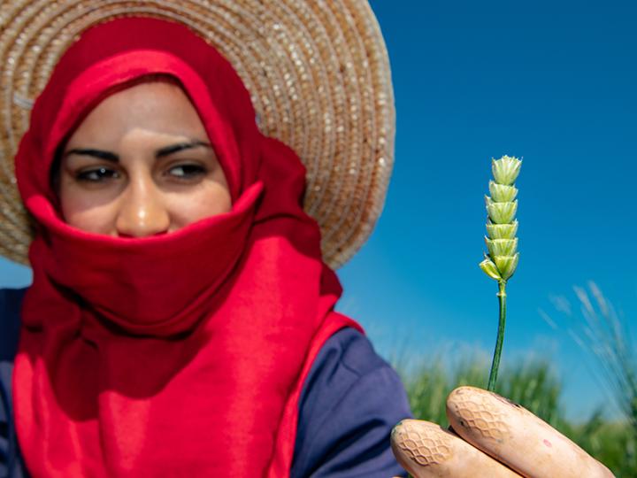 Woman holding wheat