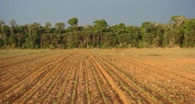 Amazon deforestation and antibiotic-resistant bacteria