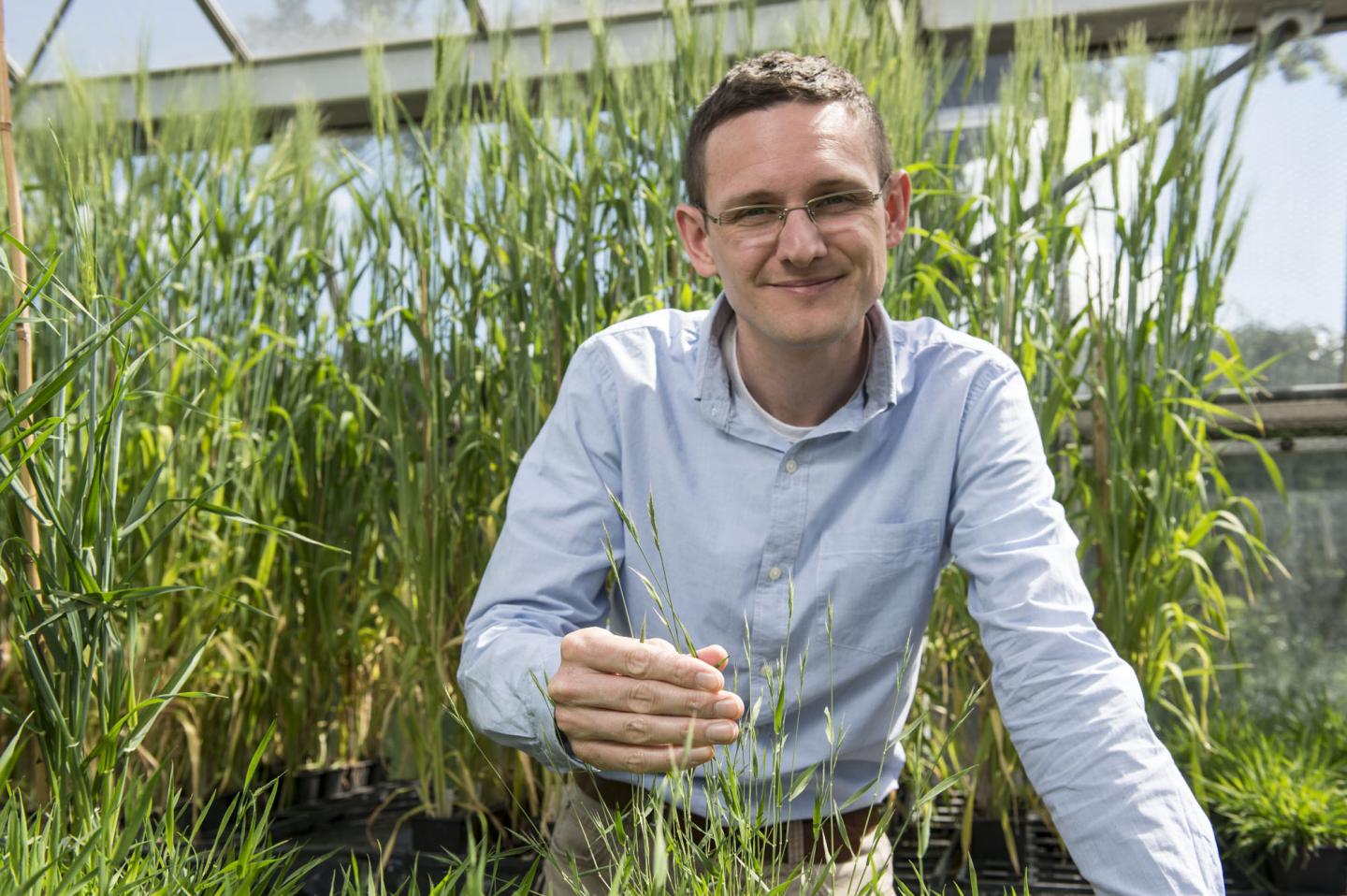 Dr, Matthew Moscou, The Sainsbury Laboratory