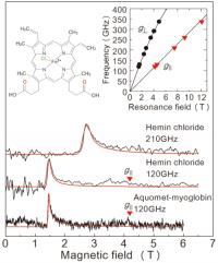 Big Results from Small Solutions: New Method for Analyzing Metalloproteins (Figure 2)