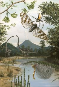 Orb Weaver Spider of the Jurassic