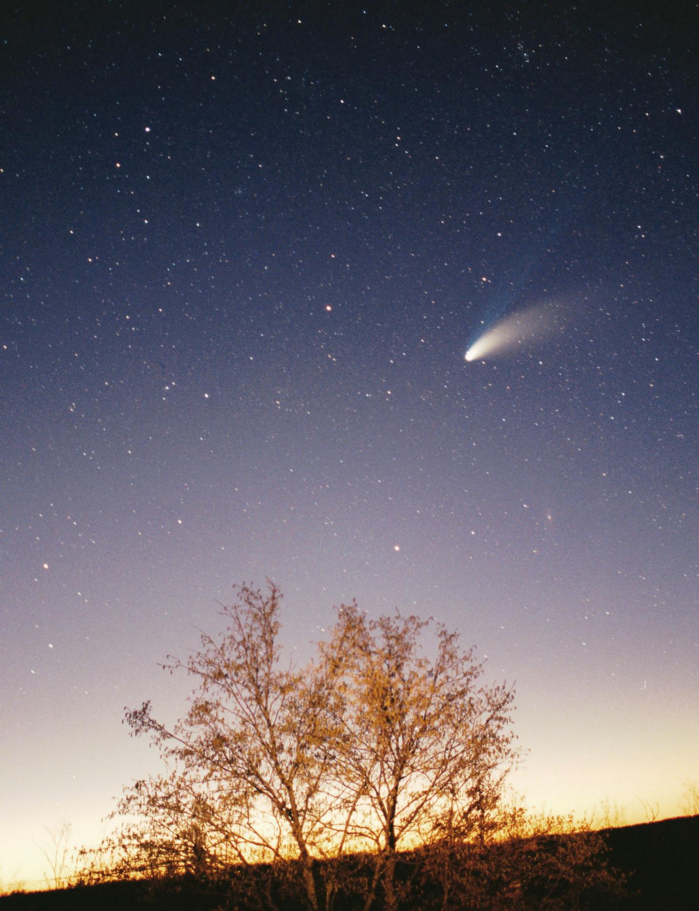 Comet Hale Bopp