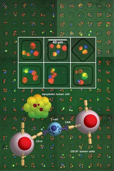 Immunotherapy Technology