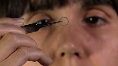 Dr. Ílida Ortega Ascencio, University of Sheffield