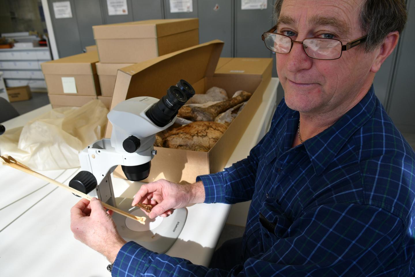 Associate Professor Trevor Worthy, Flinders University