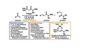 Proposed Weinreb amid-type Horner–Wadsworth–Emmons reaction