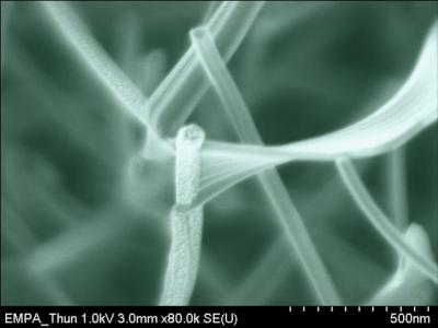 SEM Micrograph