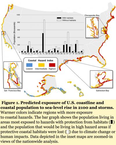 Coastal Risk Map