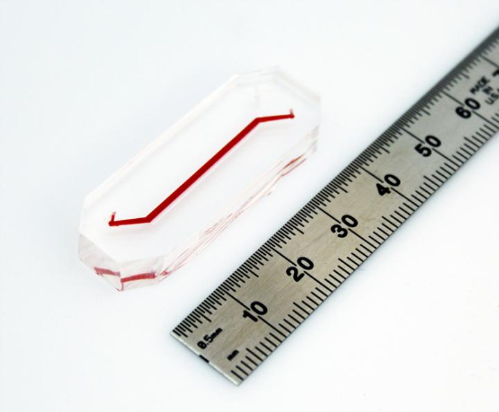 Progeria-On-A-Chip Microfluidic Channel