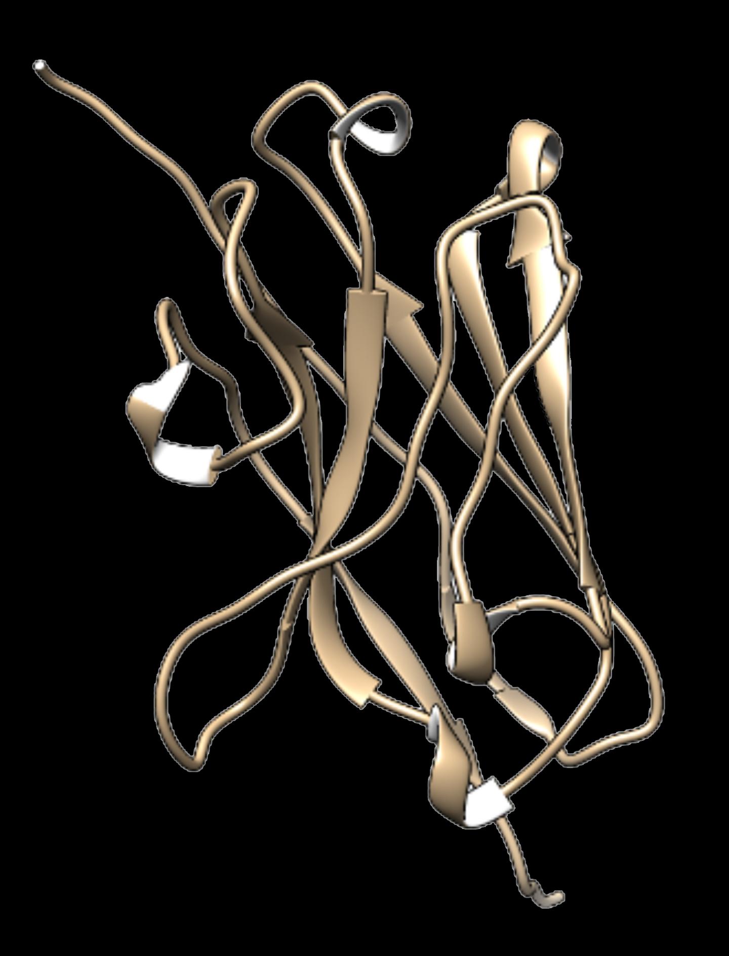 Combating COVID-19 with llama nanobodies