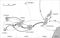 Hypothetical Colonization Pathways of <i>Laparocerus</i> Weevils, Canary Islands