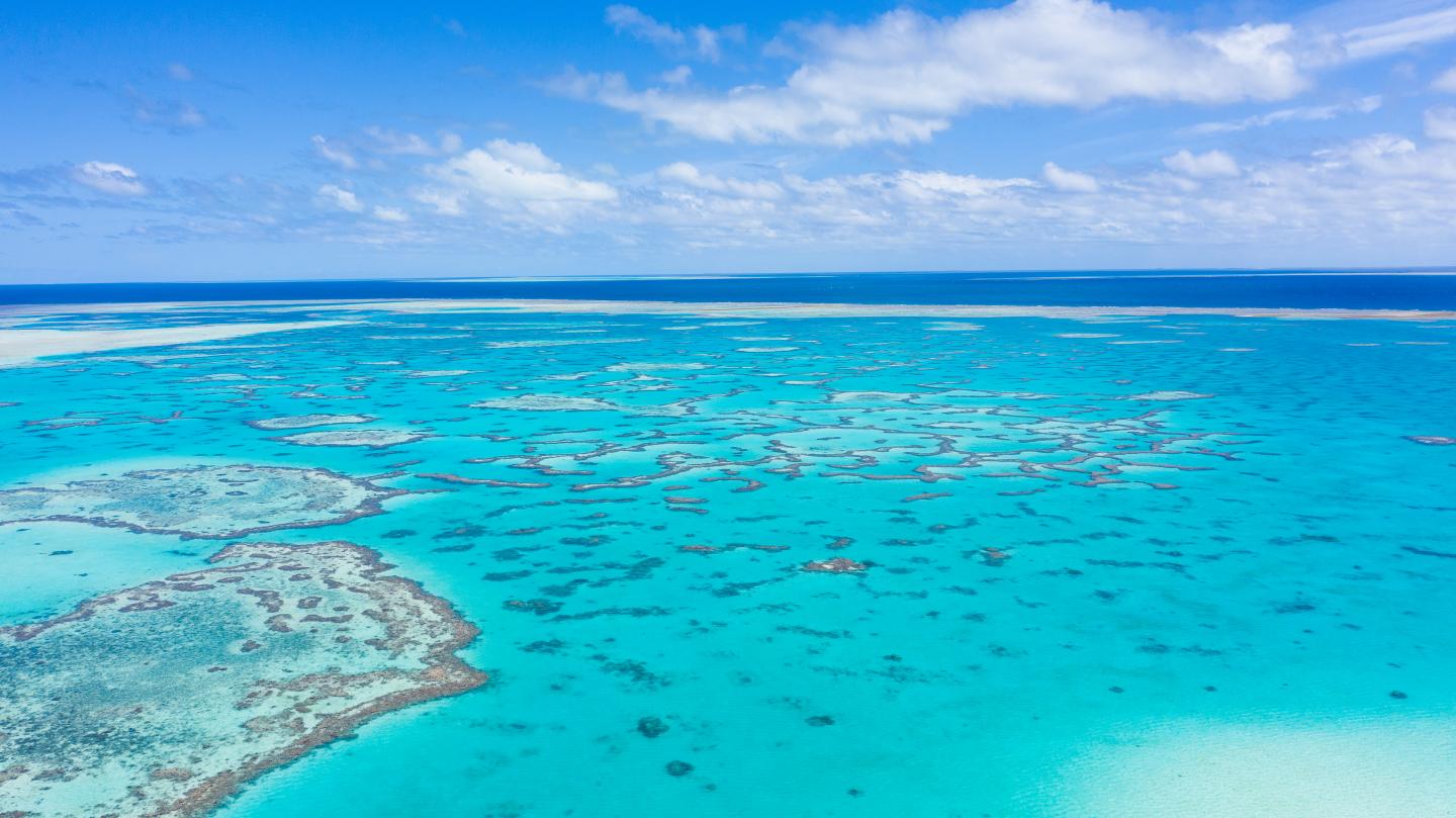 One Tree Island at the Great Barrier Reef