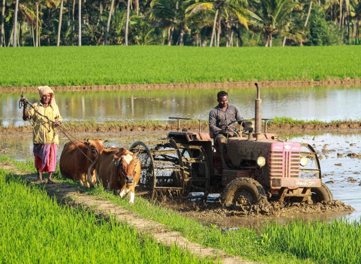 Ploughing in Flood