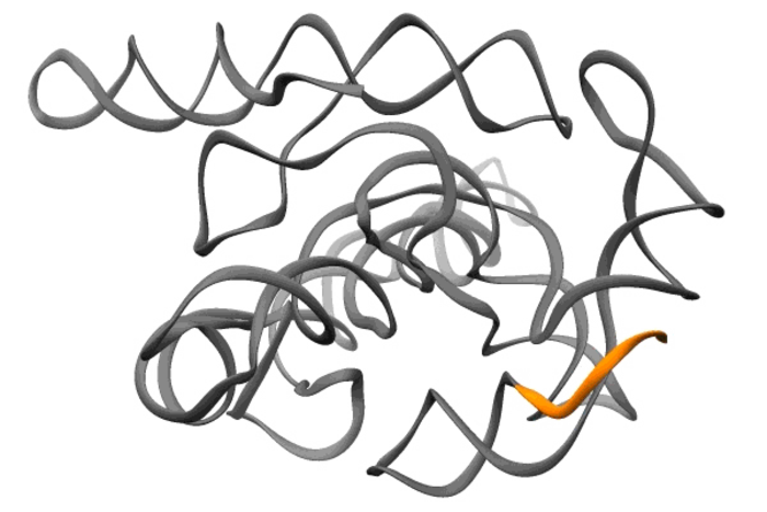 Ribozyme self-splicing in action