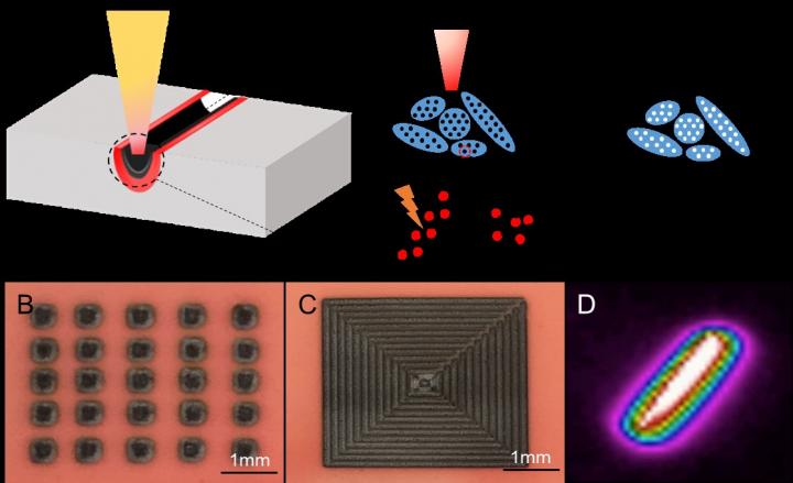 Laser-Induced Soil Decontamination
