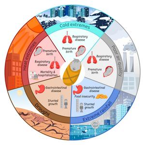 Impact of temperature extremes on children's health