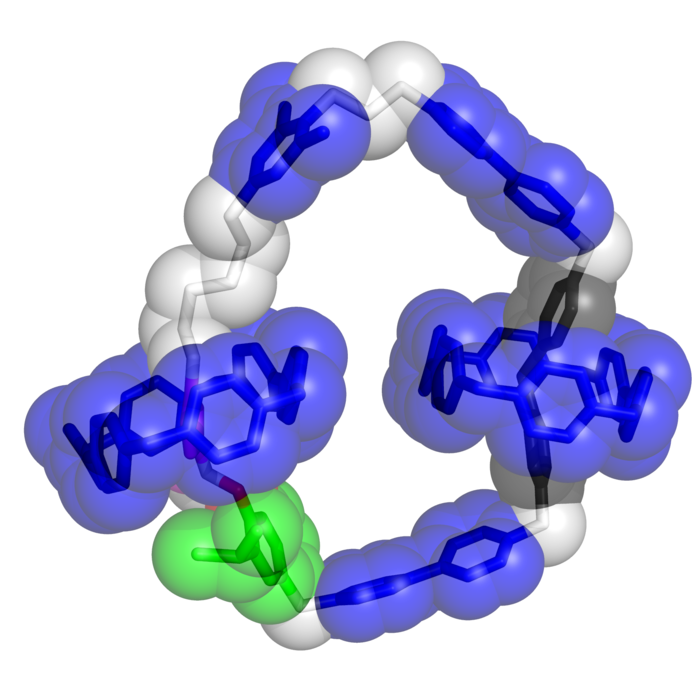 Molecular structure of motor