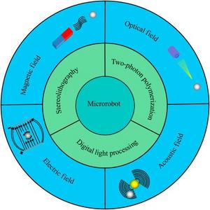 Field-controlled microrobots fabricated by photopolymerization