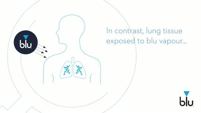 Effects of Cigarette Smoke and Myblu Vapor on Human Lung Tissue