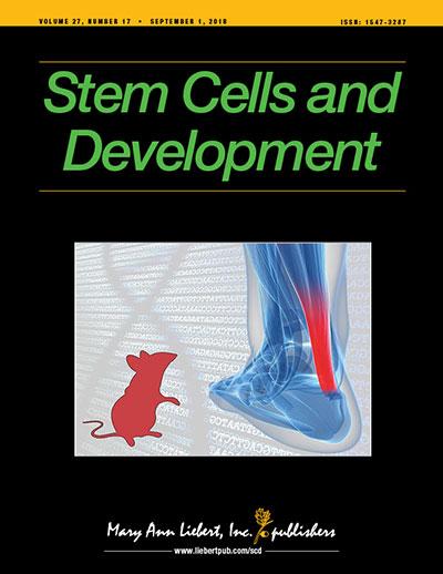 Stem Cells and Development
