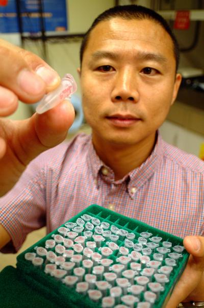 Dr. Yanbin Dong, Medical College of Georgia